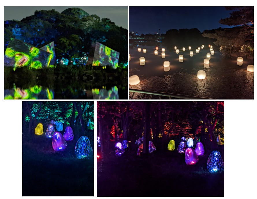 Wow Place #31 Team Lab Installation Botanical Garden Osaka Japan Wow Place #31 Team Lab Installation Botanical Garden Osaka Japan